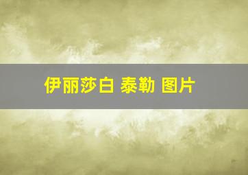 伊丽莎白 泰勒 图片